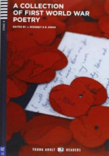 Young Adult ELI Readers - English