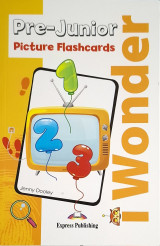 I Wonder Pre-Junior Picture Flashcards