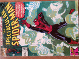 Web of spiderman 587