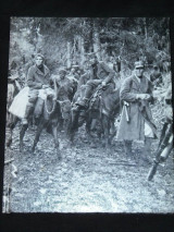 Partisans and Guerrillas (Time Life World War II, Vol. 12)
