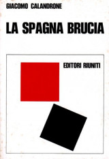 La Spagna brucia