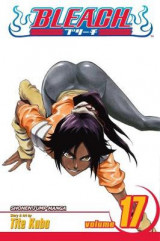 Bleach, Vol. 17 v. 17