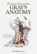 Anatomy, Descriptive and Surgical