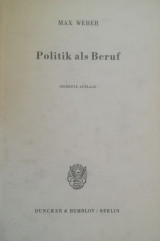 Politik als Beruf