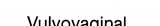 Vulvovaginal candidosis