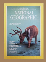 National Geografic November 1981