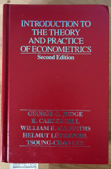 Introduction to the Theory and Practice of Econometrics