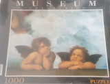 Clementoni Pazzle Madona sistina Museum 1000pcs