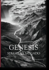 Sebastiao Salgado. GENESIS