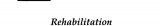 Rehabilitation of the injured knee