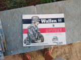 Waffen SS in Action