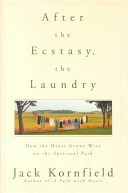 After the Ecstasy, the Laundry