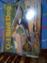 O-1 Bird Dog in Action