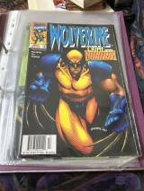 Wolverine no 132