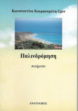 Παλινδρόμιση