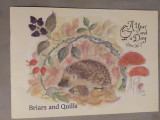 Briars and Quills A day and a year issue No 7