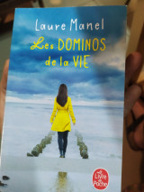 Les dominos de la vie