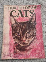 How to draw cats